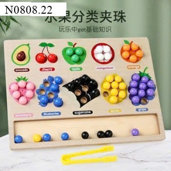 Đồ Chơi Giáo Dục Sớm Cho Trẻ Em Theo Phương Pháp Montessori - Phân Loại Trái Cây