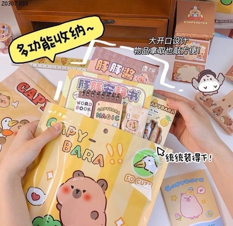 TÚI BLIND BOX CAPYBARA BẤT NGỜ